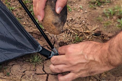 put stake in the ground|Put in the ground .